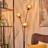Koyoto globe light, floor lamp Amber, clear, 3-light sources