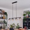 Koyoto hanging light, globe light, pendant light clear, Smoke-coloured, 4-light sources