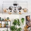 Ripoll ceiling light, globe light Amber, clear, Smoke-coloured, 10-light sources