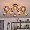 Ripoll ceiling light, globe light Amber, Smoke-coloured, 10-light sources
