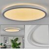 Xarel ceiling light, Panel LED white, 1-light source