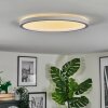 Xarel ceiling light, Panel LED white, 1-light source