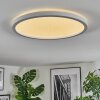 Xarel ceiling light, Panel LED white, 1-light source