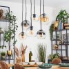 Koyoto hanging light, globe light, pendant light Amber, clear, Smoke-coloured, 6-light sources