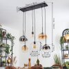 Koyoto hanging light, globe light, pendant light Amber, clear, Smoke-coloured, 6-light sources