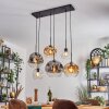 Ripoll hanging light, globe light, pendant light Amber, clear, Smoke-coloured, 6-light sources