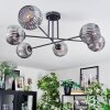 Ripoll ceiling light, globe light Smoke-coloured, 6-light sources