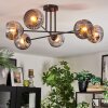 Ripoll ceiling light, globe light Smoke-coloured, 6-light sources