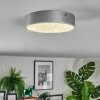 Elmar ceiling light, Panel LED silver, 1-light source