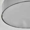 Elmar ceiling light, Panel LED silver, 1-light source