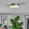 Elmar ceiling light, Panel LED silver, 1-light source