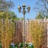 Naofe lamp post, path light brown, gold, 3-light sources