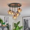 Ripoll ceiling light, globe light Amber, clear, Smoke-coloured, 5-light sources