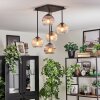 Koyoto ceiling light, globe light Amber, clear, Smoke-coloured, 5-light sources