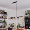 Koyoto hanging light, globe light, pendant light Amber, clear, Smoke-coloured, 5-light sources
