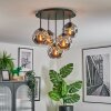 Ripoll ceiling light, globe light Smoke-coloured, 5-light sources