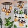 Ripoll ceiling light, globe light Amber, Smoke-coloured, 5-light sources