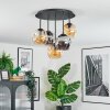 Ripoll ceiling light, globe light Amber, Smoke-coloured, 5-light sources