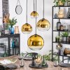 Koyoto hanging light, globe light, pendant light 35 cm gold, clear, 4-light sources