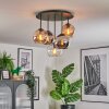 Koyoto ceiling light, globe light 37 cm Amber, chrome, clear, Smoke-coloured, 5-light sources