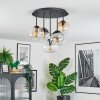 Koyoto ceiling light, globe light 37 cm Amber, clear, Smoke-coloured, 5-light sources