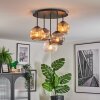 Ripoll ceiling light, globe light Amber, clear, Smoke-coloured, 5-light sources