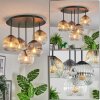 Ripoll ceiling light, globe light Amber, clear, Smoke-coloured, 5-light sources