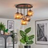 Ripoll ceiling light, globe light Amber, Smoke-coloured, 5-light sources