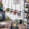Lauden hanging light, pendant light blue, green, clear, coppery, Smoke-coloured, 4-light sources