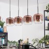 Lauden hanging light, pendant light clear, coppery, 4-light sources