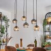 Ripoll hanging light, globe light, pendant light Amber, clear, Smoke-coloured, 6-light sources