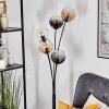 Koyoto globe light, floor lamp Amber, clear, Smoke-coloured, 5-light sources