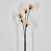 Koyoto globe light, floor lamp Amber, clear, 5-light sources