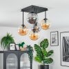 Gastor ceiling light, globe light Amber, Smoke-coloured, 5-light sources
