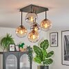 Gastor ceiling light, globe light Amber, clear, Smoke-coloured, 5-light sources