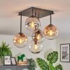 Gastor ceiling light, globe light Amber, clear, Smoke-coloured, 5-light sources