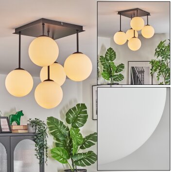 Gastor ceiling light, globe light white, 5-light sources