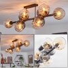 Koyoto ceiling light, globe light Amber, clear, Smoke-coloured, 10-light sources