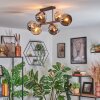 Koyoto ceiling light, globe light Amber, chrome, Smoke-coloured, 6-light sources