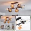 Koyoto ceiling light, globe light Amber, chrome, clear, Smoke-coloured, 6-light sources