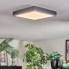 Salmi ceiling light, Panel LED grey, silver, 1-light source