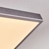 Salmi ceiling light, Panel LED grey, silver, 1-light source