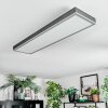 Salmi ceiling light, Panel LED grey, silver, 1-light source