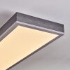 Salmi ceiling light, Panel LED grey, silver, 1-light source