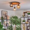 Ripoll ceiling light, globe light Ecru, black, 3-light sources