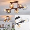 Koyoto ceiling light, globe light Amber, clear, Smoke-coloured, 6-light sources