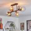 Koyoto ceiling light, globe light Amber, clear, Smoke-coloured, 6-light sources