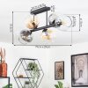 Koyoto ceiling light, globe light Amber, clear, Smoke-coloured, 6-light sources