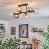 Koyoto ceiling light, globe light Amber, clear, Smoke-coloured, 6-light sources