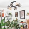 Koyoto ceiling light, globe light Amber, Smoke-coloured, 6-light sources